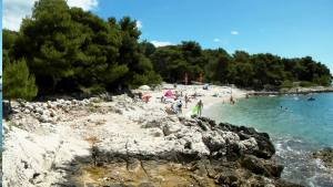 Video Hausstrand